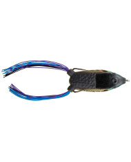 Boom Boom Frog (Frog Factory)